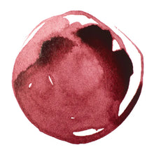 Load image into Gallery viewer, Liquitex Acrylic Ink