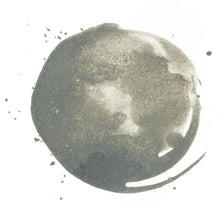 Load image into Gallery viewer, Liquitex Acrylic Ink