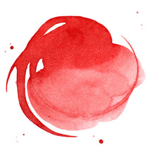 Load image into Gallery viewer, Liquitex Acrylic Ink