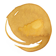 Load image into Gallery viewer, Liquitex Acrylic Ink