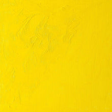 Load image into Gallery viewer, Winsor & Newton Winton Oil Paint 200ml