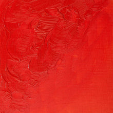 Load image into Gallery viewer, Winsor & Newton Winton Oil Paint 37ml