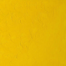 Load image into Gallery viewer, Winsor & Newton Winton Oil Paint 37ml