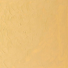 Load image into Gallery viewer, Winsor & Newton Winton Oil Paint 37ml