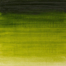 Load image into Gallery viewer, Winsor & Newton Winton Oil Paint 37ml