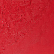 Load image into Gallery viewer, Winsor & Newton Winton Oil Paint 37ml