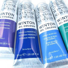 Load image into Gallery viewer, Winsor &amp; Newton Winton Oil Paint 37ml
